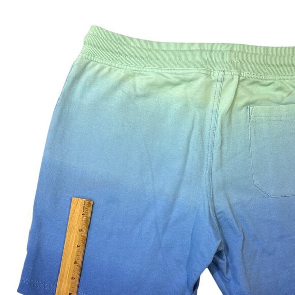 Chubbies The Schwort Sweat Shorts 7" Inseam Men's sz M French Terry Pockets NWT - Picture 6 of 11